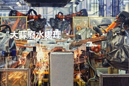 “大蒜廢水處理，綠色環(huán)保新篇章”